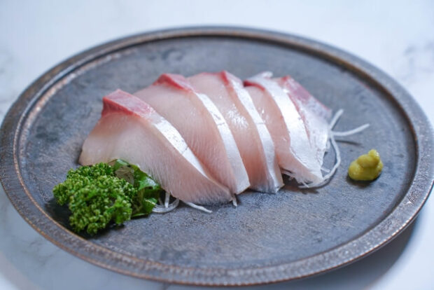 日本の養殖「鰤&鯛」